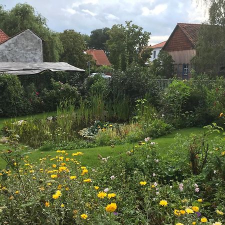 Schoene Gemuetliche Ferienwohnung Mit Kamin II Im Harz Darlingerode Εξωτερικό φωτογραφία