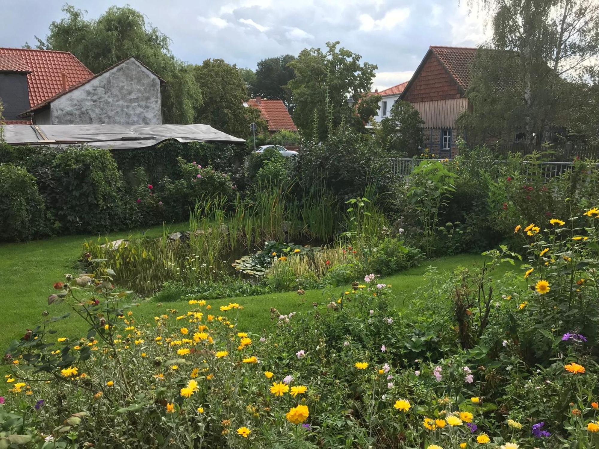 Schoene Gemuetliche Ferienwohnung Mit Kamin II Im Harz Darlingerode Εξωτερικό φωτογραφία